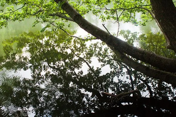 Zagrzeb | Park Maksimir