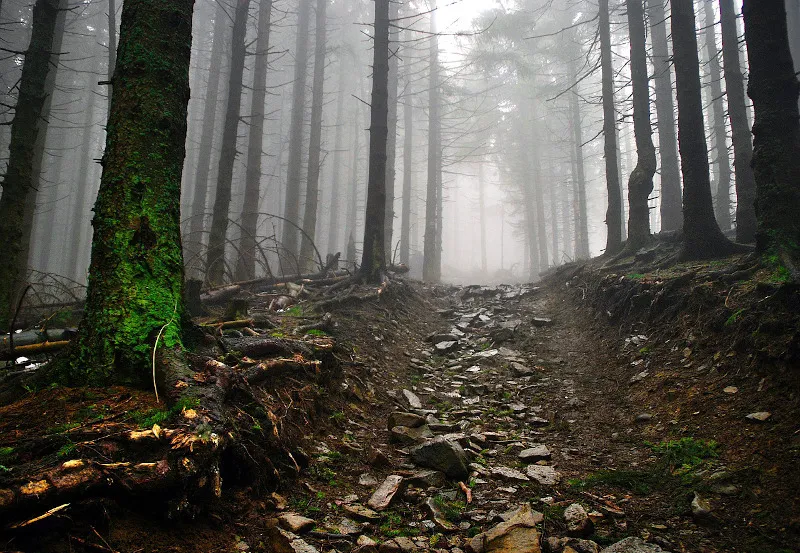 Beskidy - na szlaku