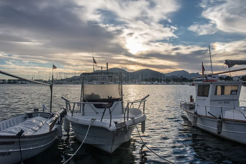 Majorka | Alcudia