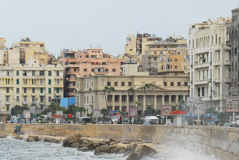 alexandria3