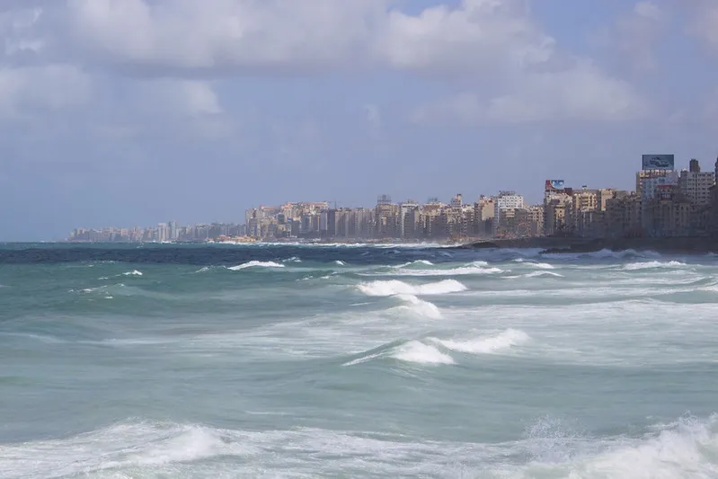 alexandria5