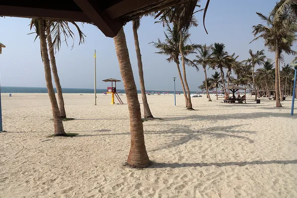 Dubaj | Dżumeirah Beach Park - "park plażowy" Dubaj | Dżumeirah Beach Park - "park plażowy"