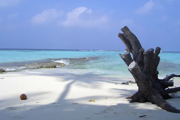 Malediwy | Niezamieszkana wysepka Asdhoo w atolu Kaafu Malediwy | Niezamieszkana wysepka Asdhoo w atolu Kaafu