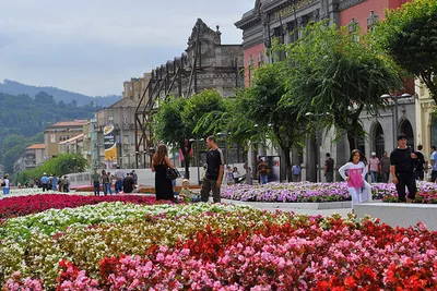 Braga