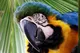 Kiedy jechać do Brazylii? Amazonia, Rio i wybrzeże