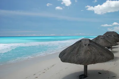 Cancún – „gniazdo węży”