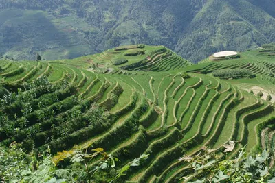 Chiny – geografia, przyroda, atrakcje i kuchnia