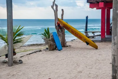 Denpasar – serce Bali 