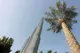 Dubajskie drapacze chmur