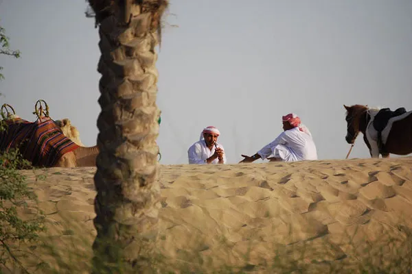 Dubaj | Pogawędka Dubaj | Pogawędka