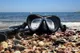 Snorkeling w Egipcie: Morze Czerwone i rafy