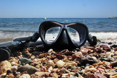 Snorkeling w Egipcie: Morze Czerwone i rafy