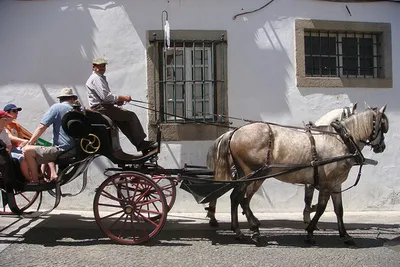 Miasta Portugalii - Evora