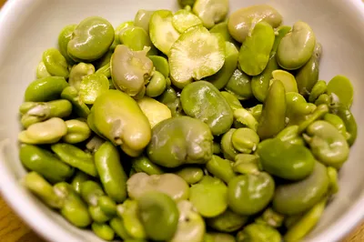 Egipski ful medames — duszona fasola fava z czosnkiem i oliwą