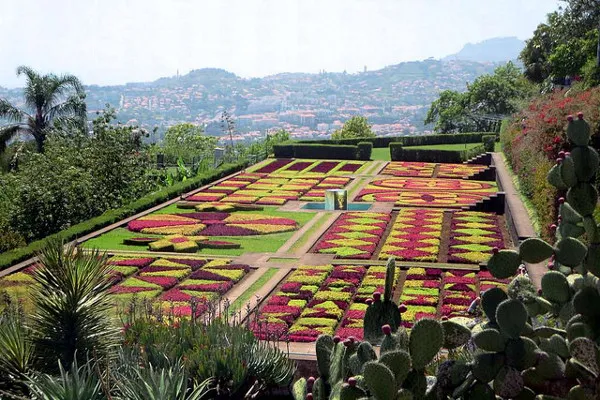 Portugalia | Ogród botaniczny, Jardim Botanico da Madeira Portugalia | Ogród botaniczny, Jardim Botanico da Madeira
