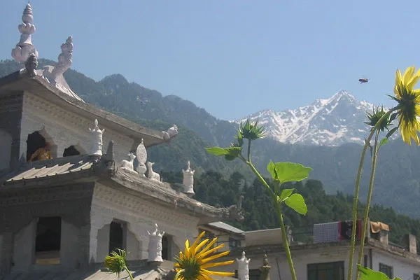 Indie | Dharamsala