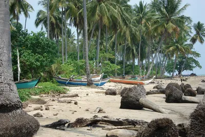 Indonezja