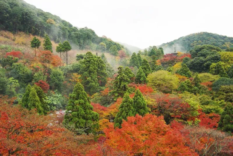 Japonia | Japonia jesienią Japonia | Japonia jesienią