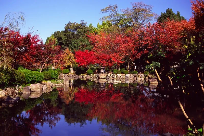 Japonia | Jesienią Japonia zachwyca kolorami Japonia | Jesienią Japonia zachwyca kolorami
