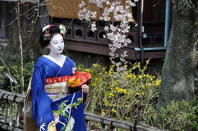 Japonia – w kraju samurajów, gejsz i ninja...