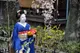 Japonia – w kraju samurajów, gejsz i ninja...