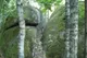 "Ukraiński Stonehenge"
