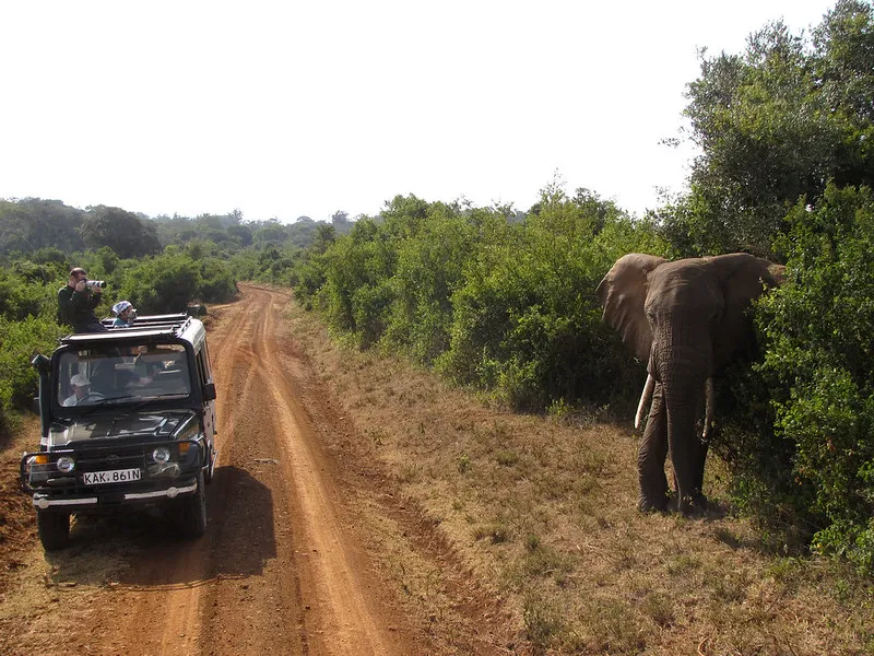 Kenia | Na safari podstawowe zasady bezpieczeństwa, to niewysiadanie z pojazdu w miejscach nie-dozwolonych i dokładne sprawdzenie przewoźnika oraz pojazdu przed wyprawą Kenia | Na safari podstawowe zasady bezpieczeństwa, to niewysiadanie z pojazdu w miejscach nie-dozwolonych i dokładne sprawdzenie przewoźnika oraz pojazdu przed wyprawą