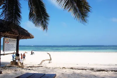Kiedy jechać do Kenii? Safari, plaże i pogoda