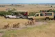 Kenia: safari, plaże i parki narodowe