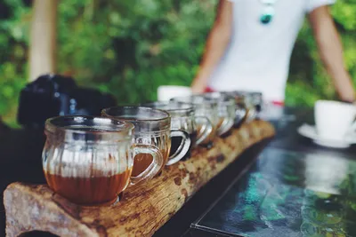 Kawa Kopi Luwak z Bali 