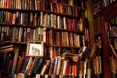 Literatura Tunezji: pisarze arabscy i francuscy