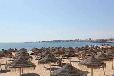 Kiedy jechać do Lizbony?