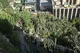 Ogród Egzotyczny (Jardin exotique de Monaco)