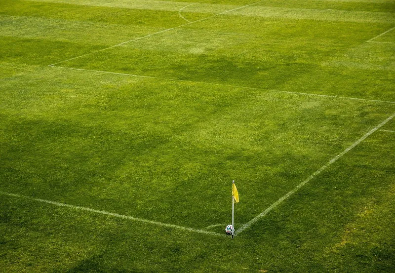Mecz na stadionie