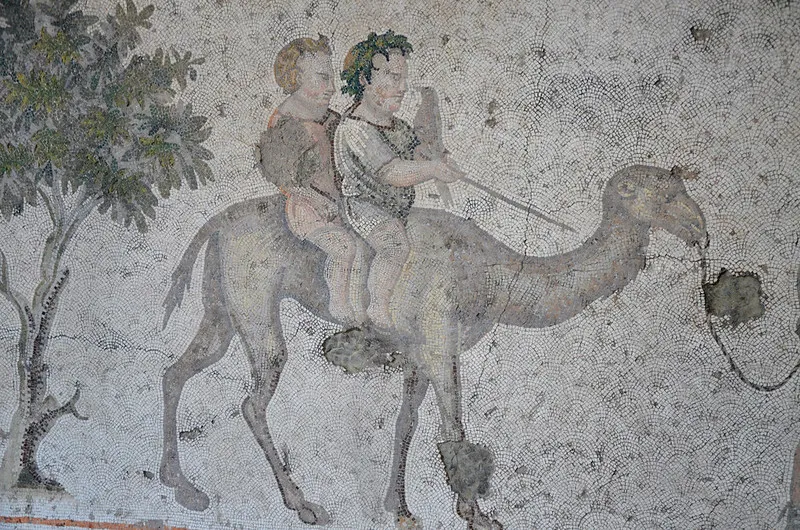 muzeum mozaiki1