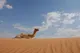 Dubaj Top 10