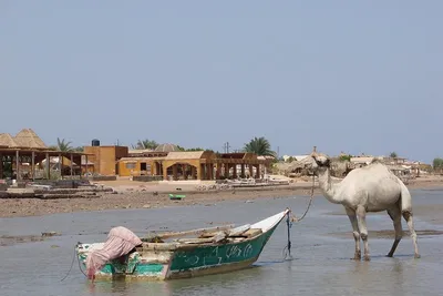 Nuweiba na Synaju: plaże, rafy i Kolorowy Kanion