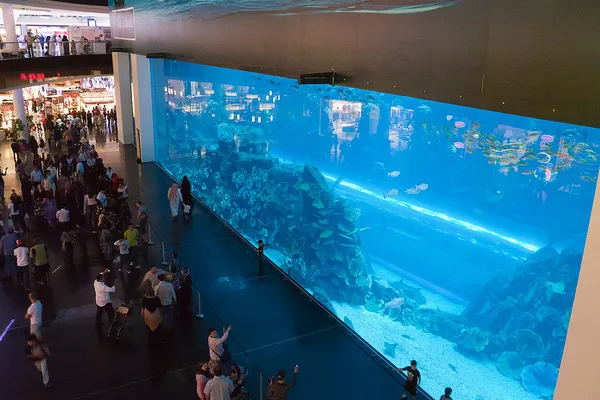 Dubaj | Podwodne Zoo w Dubai Mall Dubaj | Podwodne Zoo w Dubai Mall
