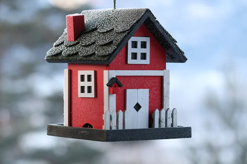 Norwegia | Domek dla ptaków