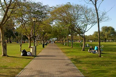 Parki i ogrody zoologiczne Dubaju
