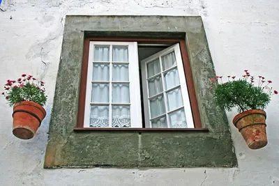 Portugalskie klimaty w Krakowie
