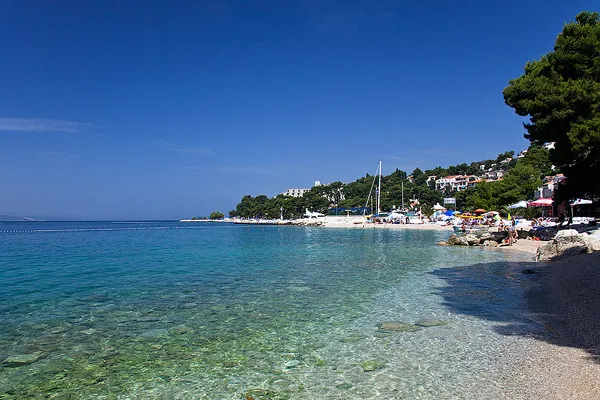 Chorwacja | Punta Rata otoczona jest lasem sosnowym