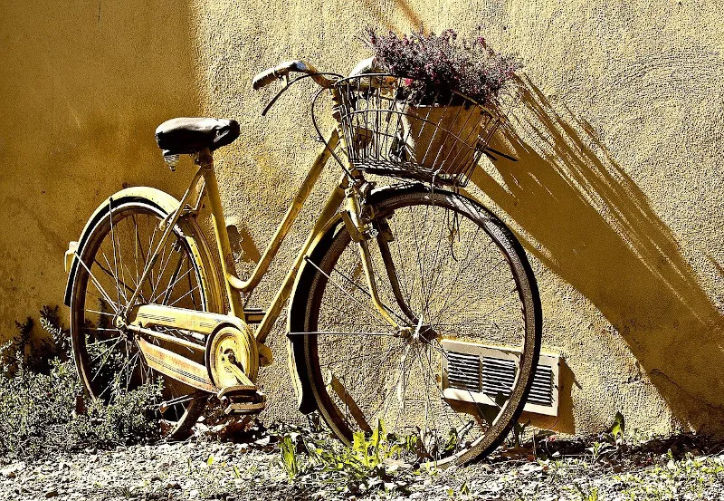 Rower - popularny środek transportu