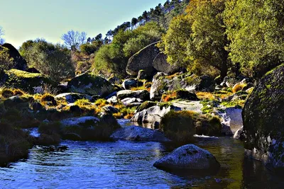 Serra da Estrela