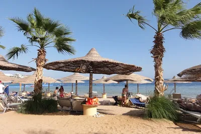 Sharm el-Sheikh: rafy, nurkowanie i Synaj