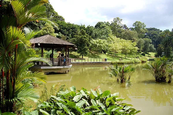 Singapur | Ogród botaniczny, Singapur