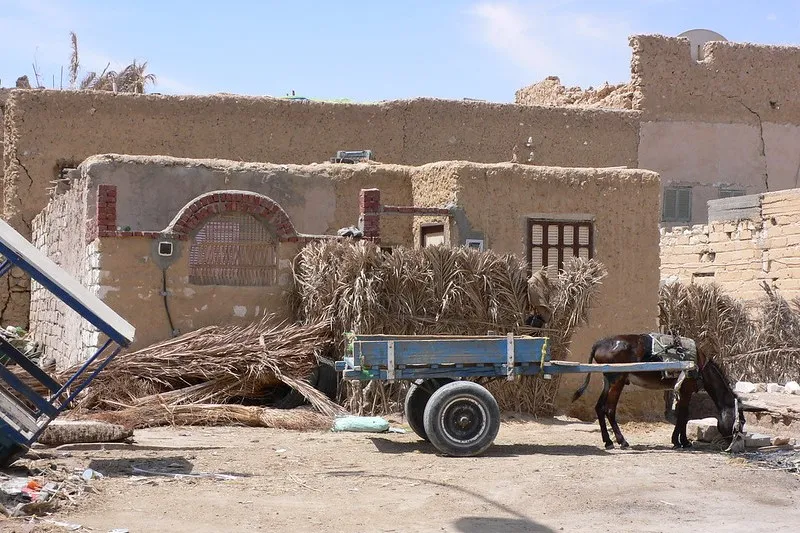 siwa2