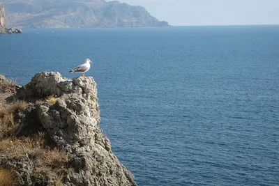 Sudak – atrakcje przyrodnicze