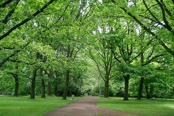 Berlin | Tiergarten