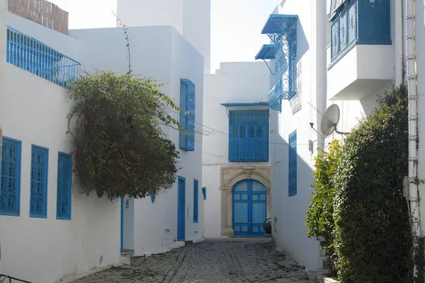 Tunezja | W Sidi Bou Said…